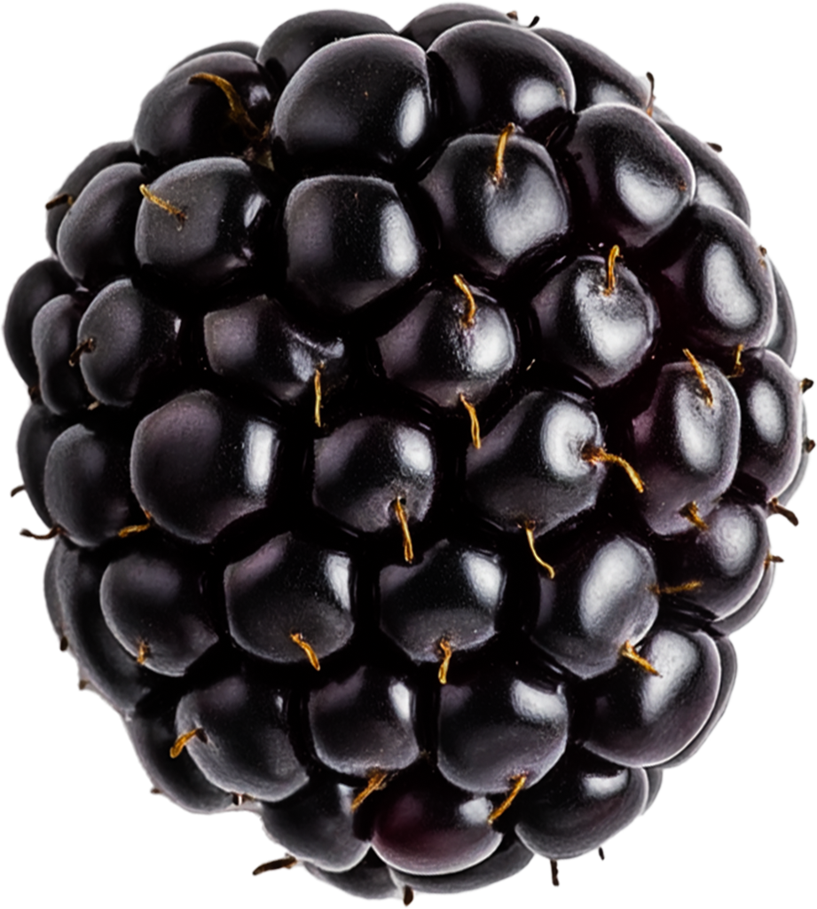 Blackberry