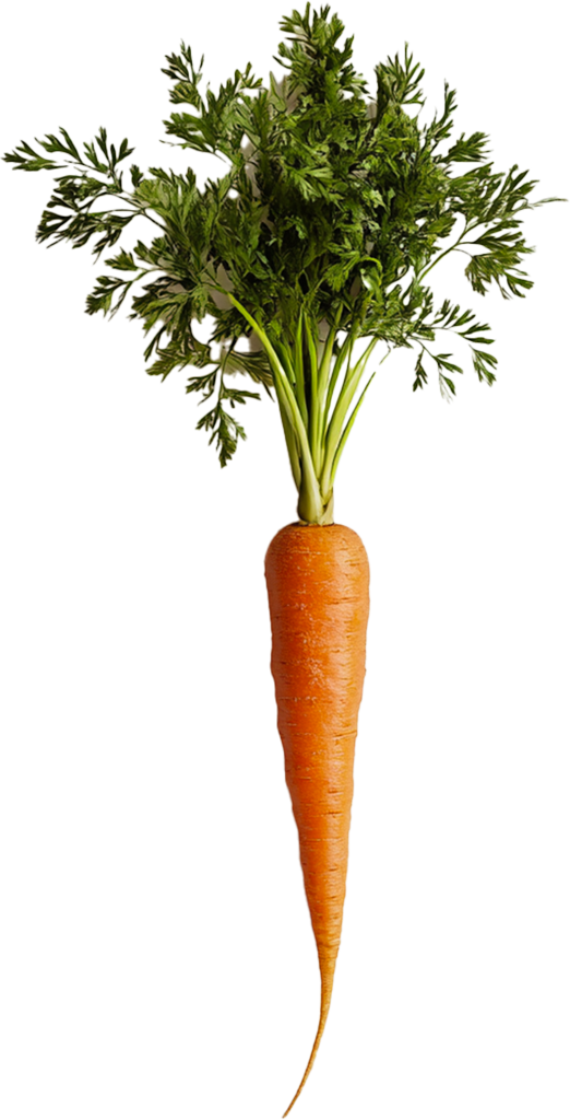 Carrot