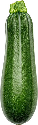 Zucchini